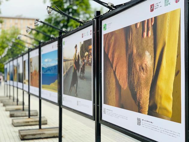 Фотовыставка «ОБЪЕКТИВная благотворительность» Фотовыставка «ОБЪЕКТИВная благотворительность»