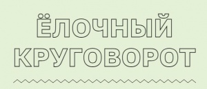 Акция «Ёлочный круговорот» 2023-2024. 