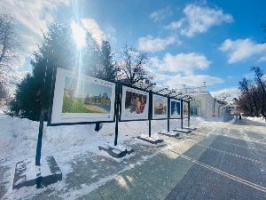 Фотовыставка «Путешествуйте дома. Весна»