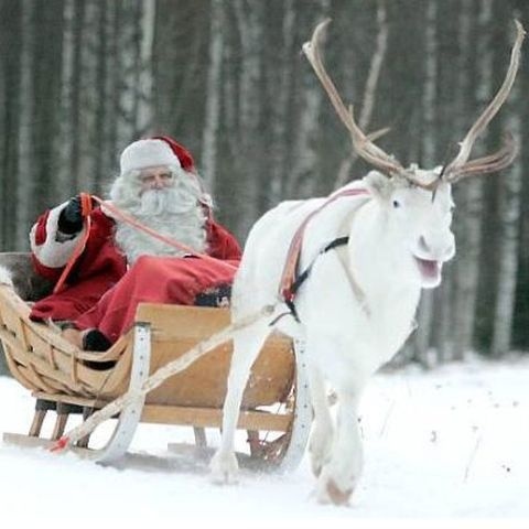 Рождество! Рождество!
